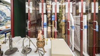 Studiensammlung Brachsenweg