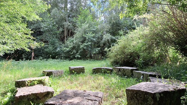 Ein unbekannter Kraftplatz in Meggenhofen