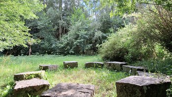 Ein unbekannter Kraftplatz in Meggenhofen