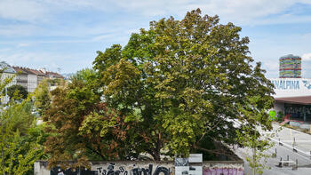 Führung am Tatort Nordwestbahnhof