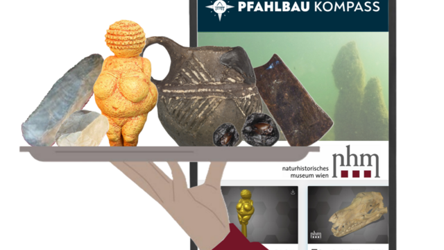 Eine Hand serviert Steinartefakte, die Venus von Willendorf, einen Mondsee Krug, verkohlte Äpfel und ein Kupferbeil vor einem Handybildschrim.