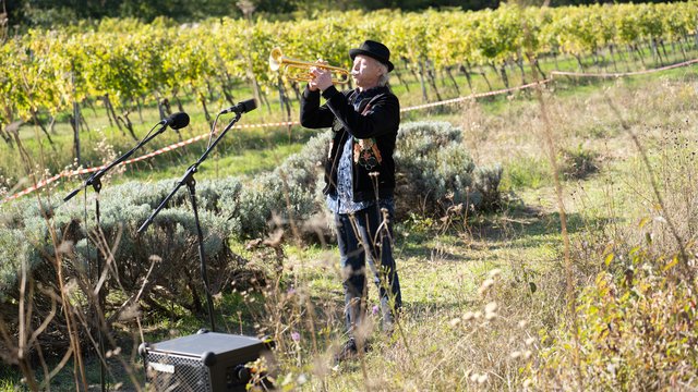 Die Grube, Experimentalmusiker Franz Hautzinger
