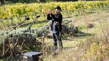 Die Grube, Experimentalmusiker Franz Hautzinger