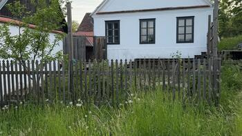 Ostfassade mit Gemüsegarten