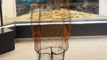Ein Wireframe von Johann Krahuletz steht vor der Vitrine mit dem Seekuhskelett