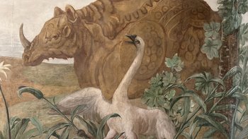 Das Rhinozeros und der Schwan © Mag. Klaus Daubeck