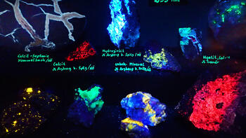 Das neue Fluoreszenz-Kabinett