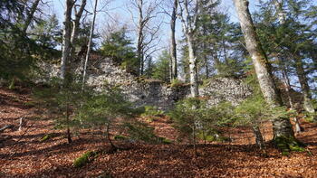 Die östliche Ringmauer der Burg am Pittersberg