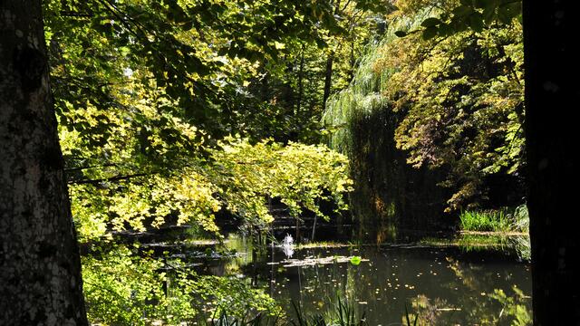 Schlosspark Teich