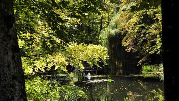 Schlosspark Teich