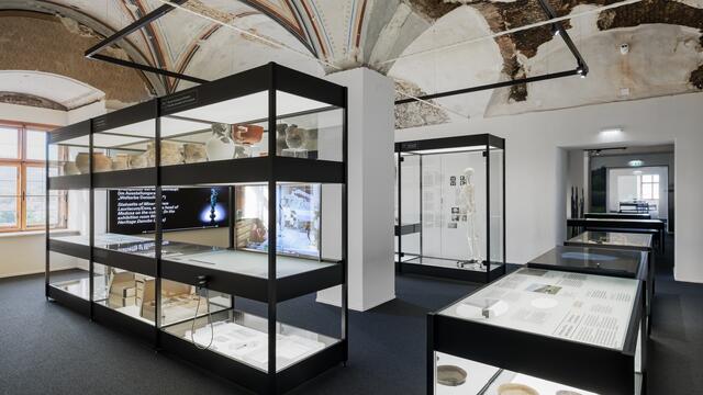 Ausstellungsansicht Ausstellung Archäologie