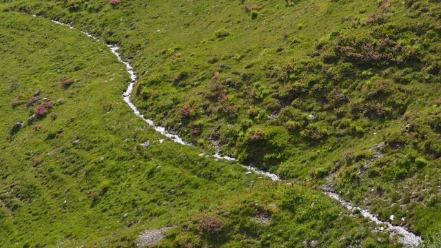 Flurbewässerung Gargellental im Montafon