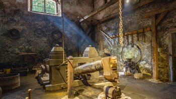 Schwanzhammer