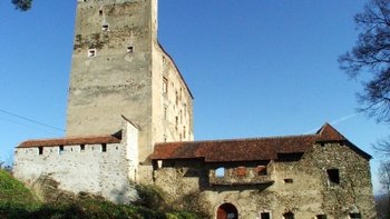 Ansicht von Westen mit Schildmauer und Portal vor Renovierung