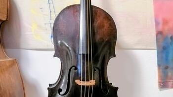 Violoncello Piccolo von Anthony Hauser (Reutte, 1796)