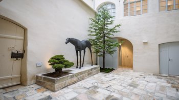 Innenhof im neuen KUNSTHAUS GMÜND mit Bronzepferd der Künstlerin Judith Wagner
