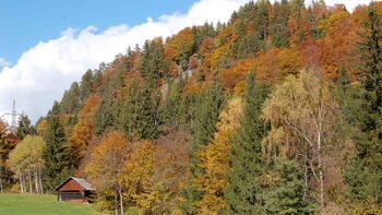 Der Pittersberg bei Laas