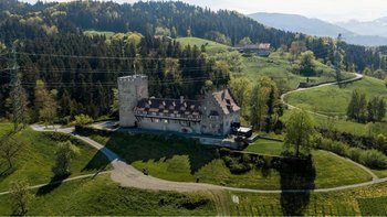 Schloss Wolfurt von oben